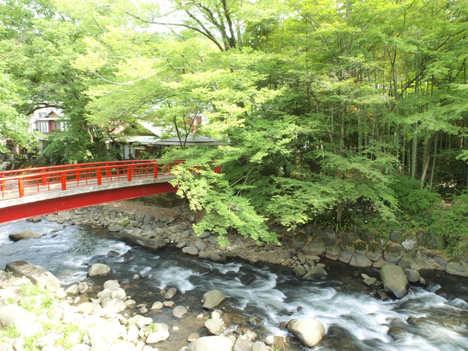 Hotel Arai Ryokan Shizuoka Exterior foto